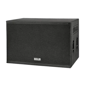 Ahuja SWX2100 PA Subwoofer system