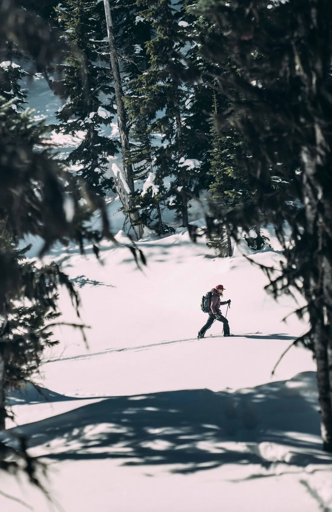 Swoon Splitboard