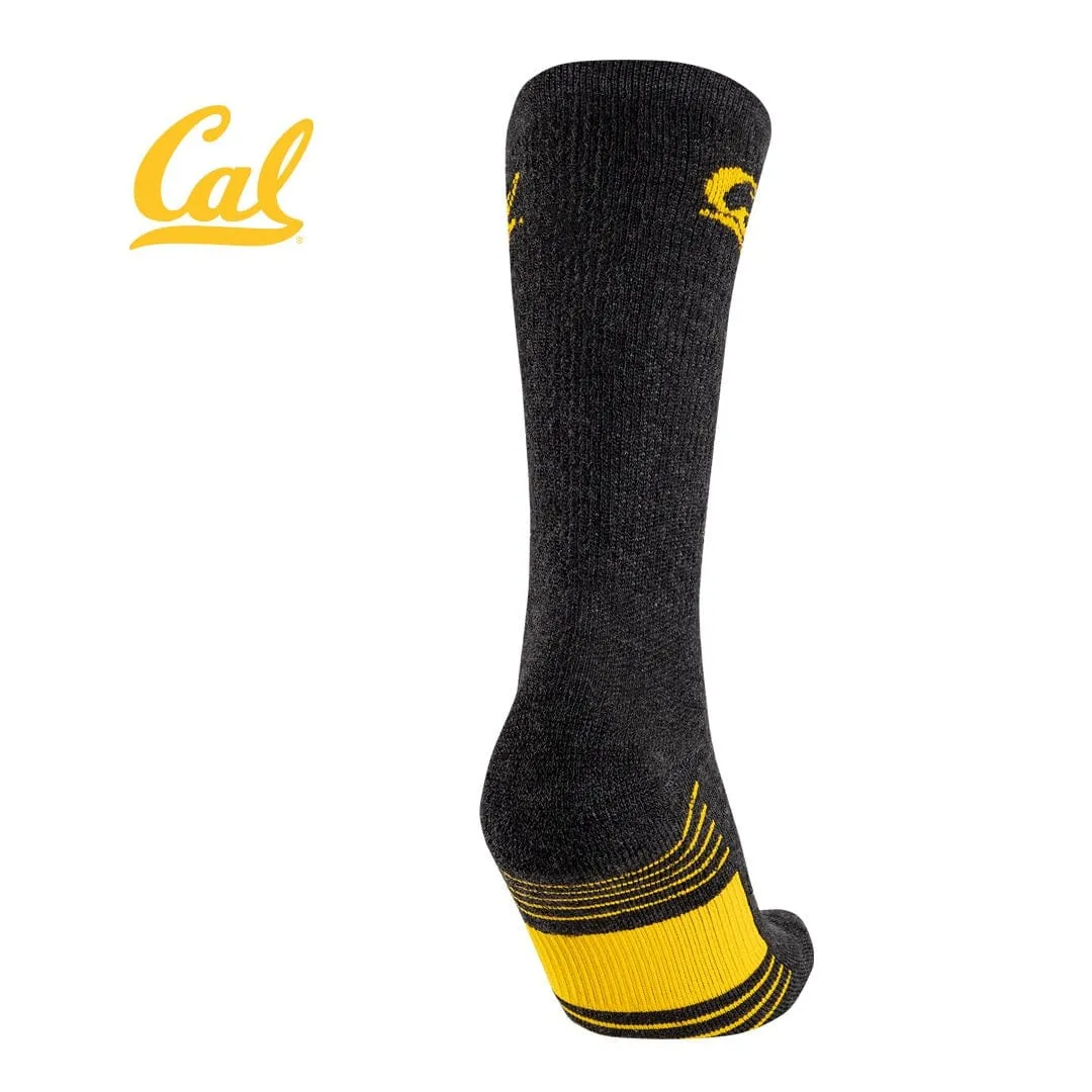 TCK University of California Berkeley Socks - Pure Merino Wool - Far Trek